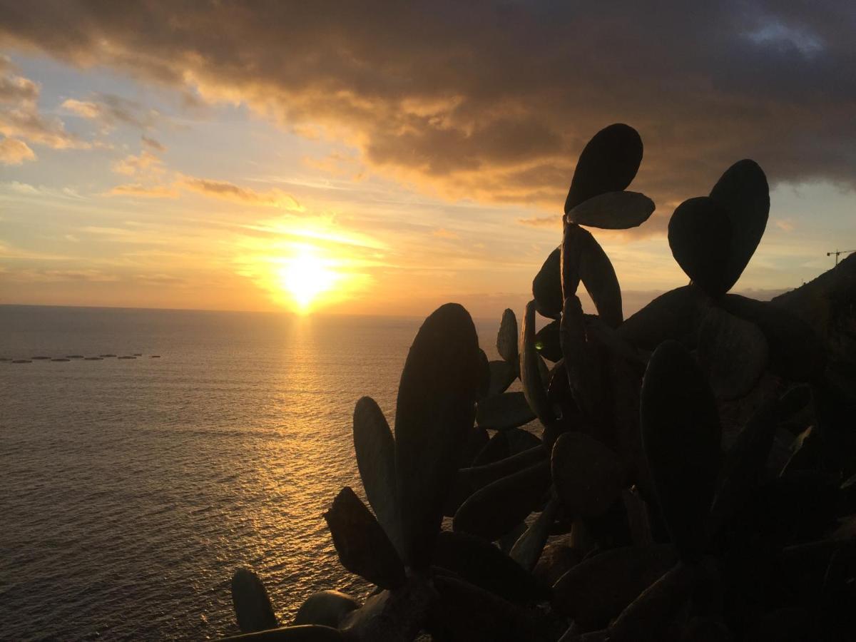Mango House Villa Arco da Calheta  Buitenkant foto