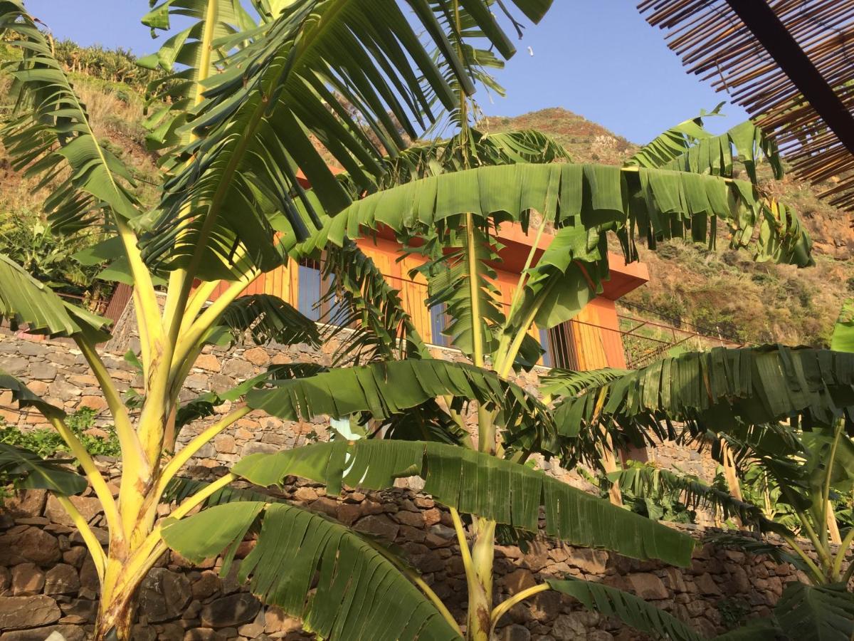 Mango House Villa Arco da Calheta  Buitenkant foto