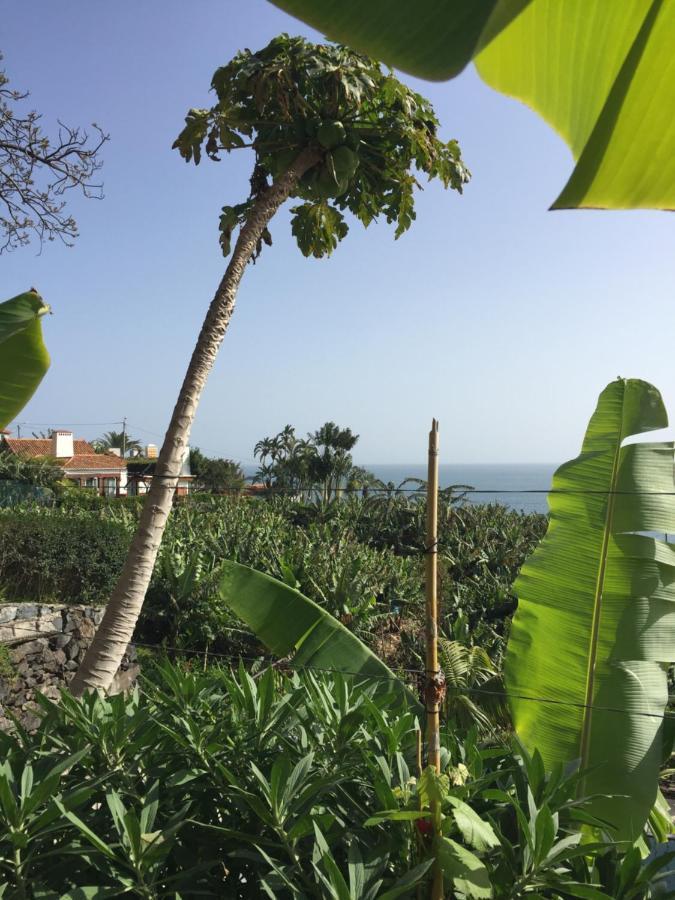 Mango House Villa Arco da Calheta  Buitenkant foto